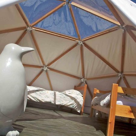 ホテル Les Domes Du Chalet Viso アルヴィユー エクステリア 写真